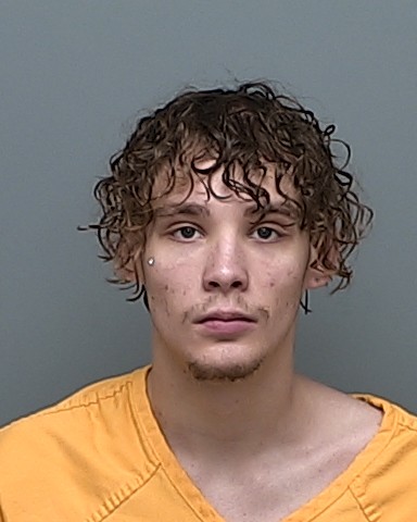 Mugshot of KAMDYNN MICHAEL LYNN MCCOY
