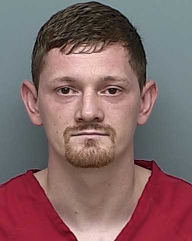 Mugshot of JORDAN JAMES SILVER