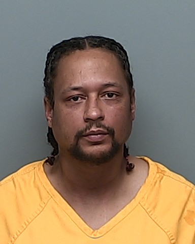 Mugshot of DAVID MICHAEL WHEELER