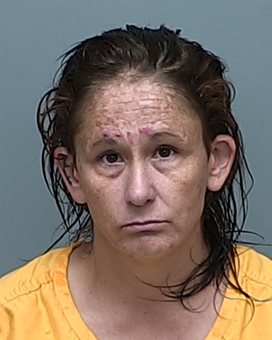 Mugshot of HEATHER JANELLE MILLER