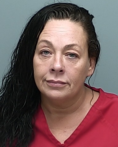 Mugshot of ANGIE MARIE TIMMERMAN