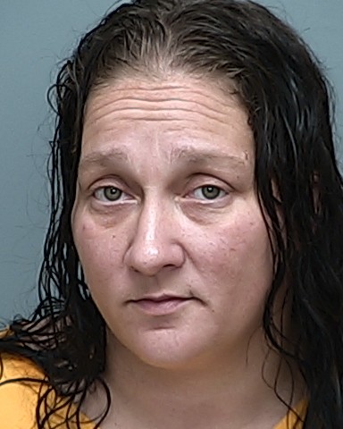 Mugshot of DONNA JO GINTER