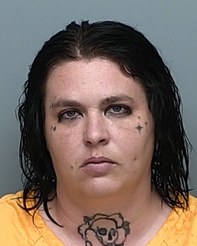Mugshot of DAISEY LEANN HURLEY