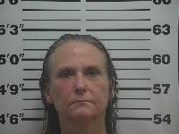 Mugshot of Theresa Louise Bowman