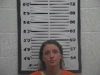 Mugshot of Michele Leigh Runyon