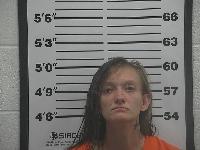 Mugshot of Alexandra Aaron Kisner