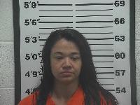 Mugshot of Kristen Ann Nieman
