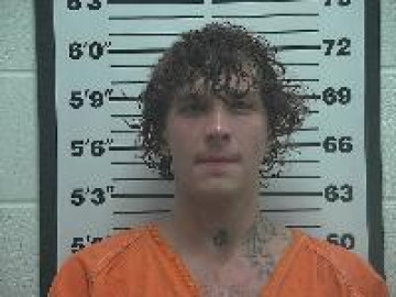 Mugshot of Skyler Davis Wood