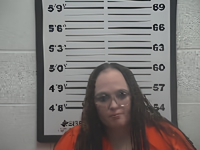 Mugshot of Dannielle Lynn Young