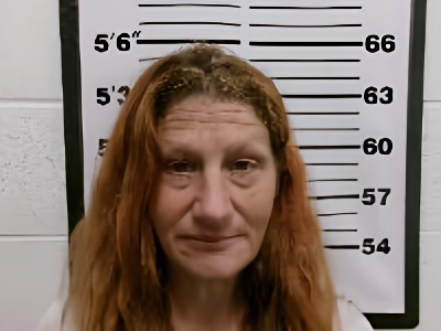 Mugshot of Jenny Lee Varner