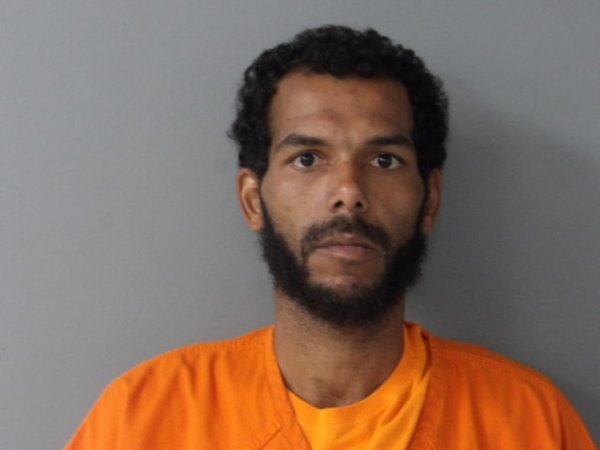 Mugshot of DEVIN FORD