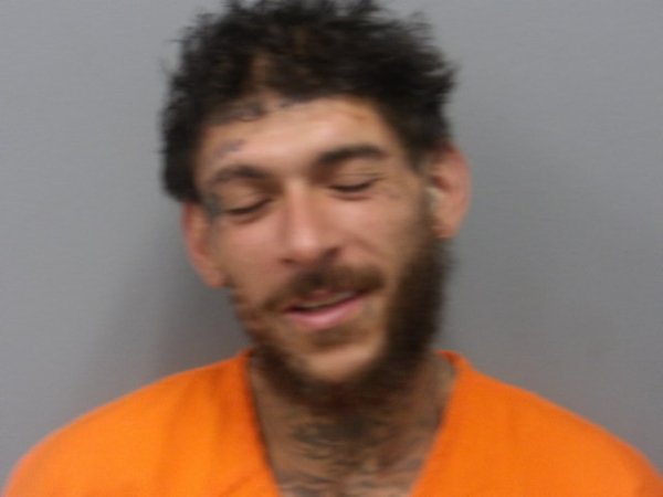 Mugshot of LUIS HERNANDEZ