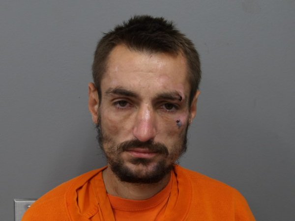Mugshot of TROY ADAMINI