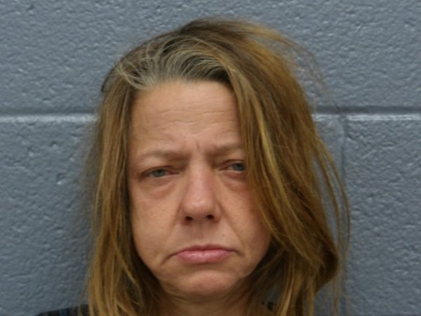 Mugshot of DINA DOWNIE