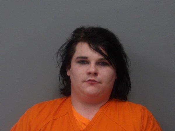 Mugshot of JOAN DOBRANIC