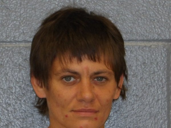 Mugshot of LARA HUDSON