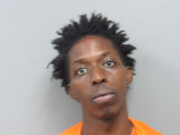 Mugshot of GEORGE IVERY