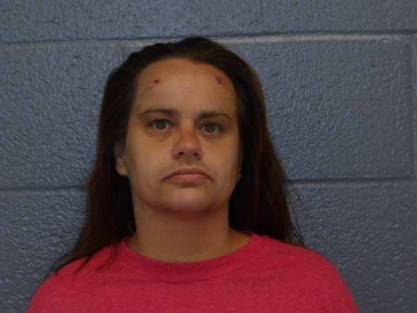 Mugshot of ERICA HANSHAW