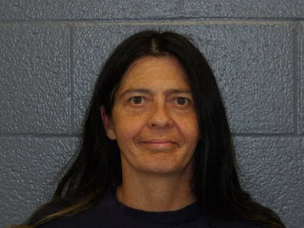 Mugshot of RENEE TAYLOR