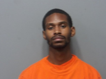 Mugshot of TYRON FOLDS