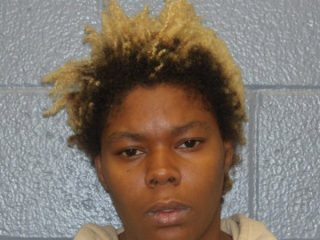 Mugshot of ALEXCIA JAMISON-DAVIS