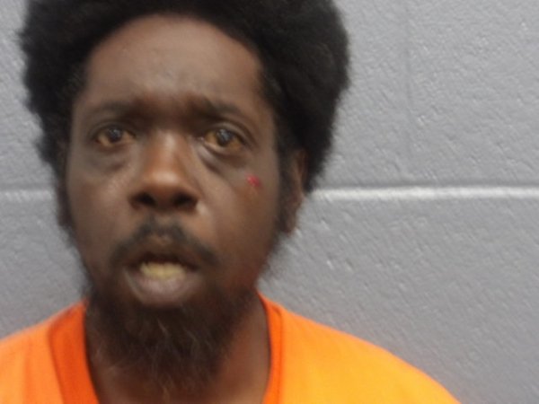 Mugshot of WAYNE BROWN