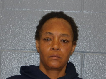 Mugshot of APRIL STEVENSON