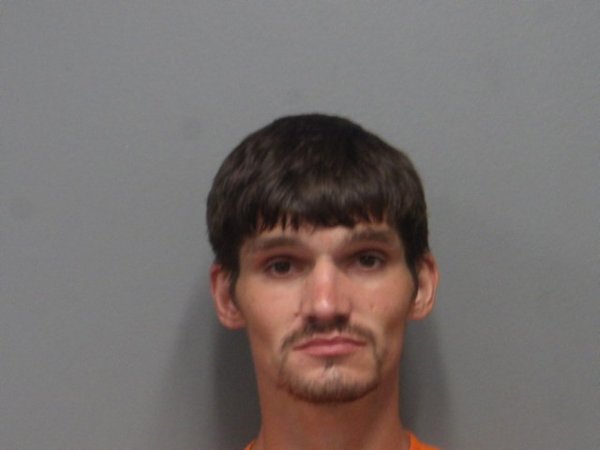 Mugshot of ANDREW WERCHELOWSKY