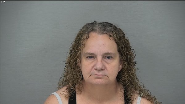 Mugshot of NICOLE LEE NELSON