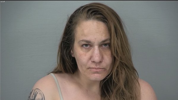 Mugshot of HEATHER DANIELLE STEIN