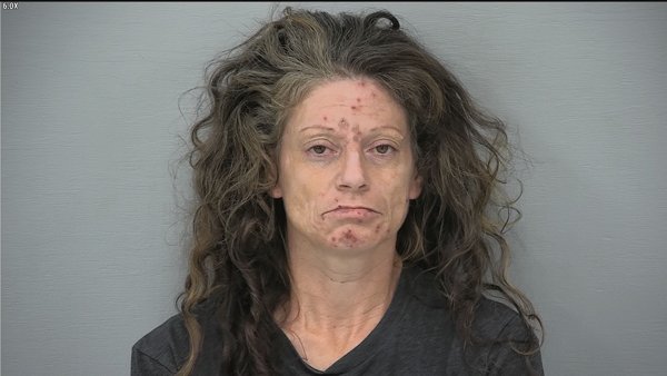 Mugshot of LISA MICHELLE CODER