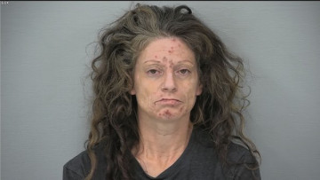 Mugshot of LISA MICHELLE CODER
