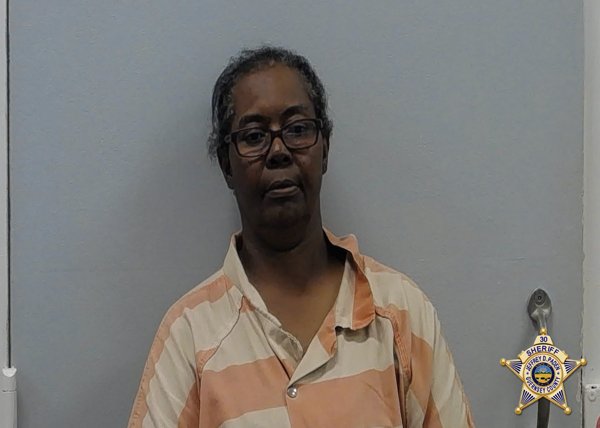 Mugshot of PAMELA RENEE LONG