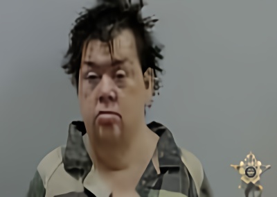 Mugshot of CRYSTAL M FOWLER