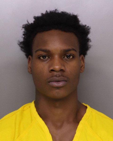 Mugshot of DERRICK TERRY