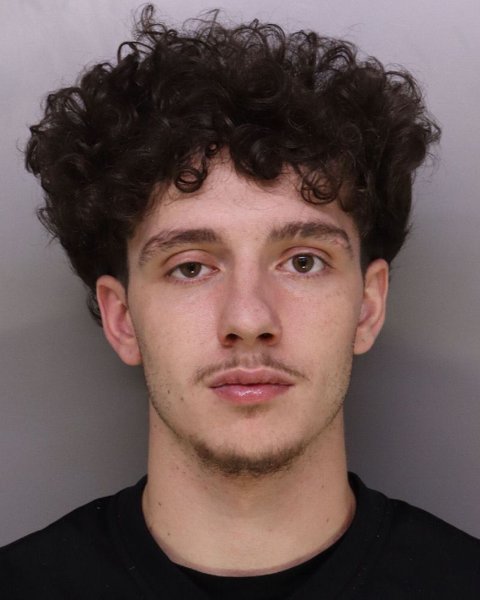 Mugshot of BRADIN YOUNG