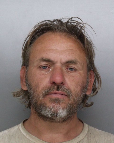 Mugshot of DAVID POLLITT