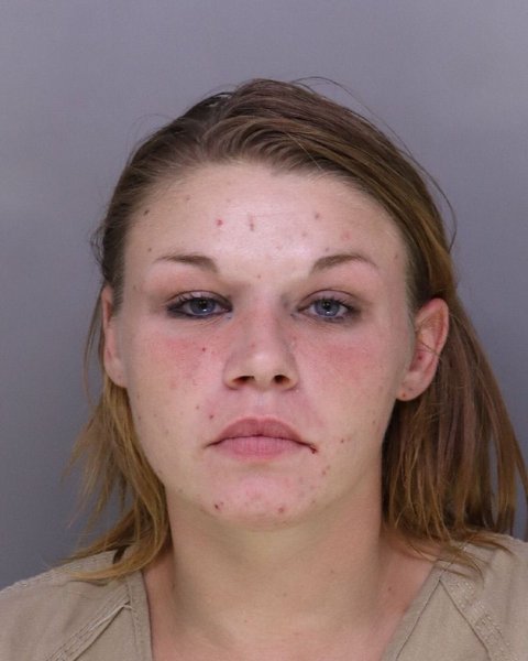 Mugshot of ALIYA RADANK