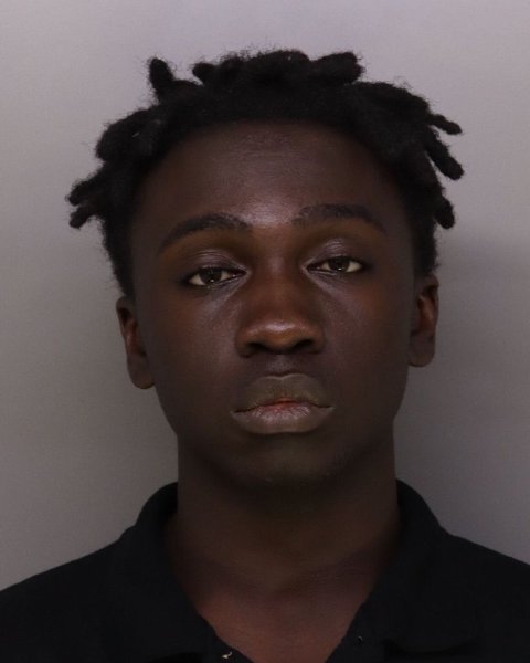 Mugshot of ROGER STYLES