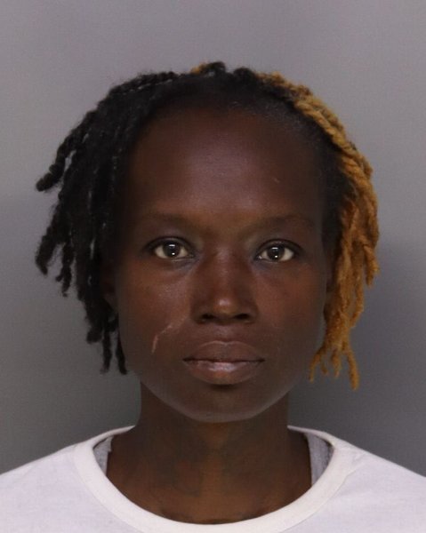 Mugshot of DEBORAH HIGGINS