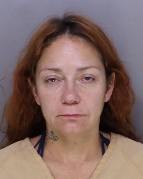Mugshot of JULIE HOBBS