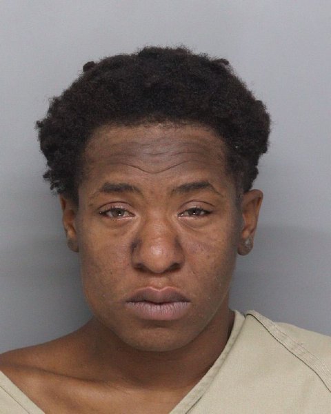 Mugshot of MARY WATKINS