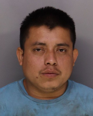 Mugshot of LUSBIN GARCIA MEJIA