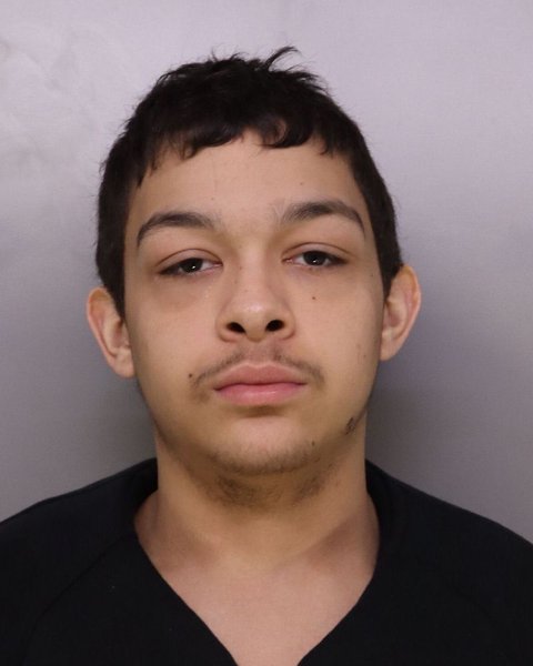 Mugshot of RONALD ALVARADO
