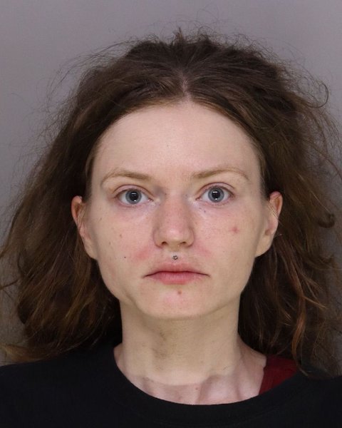 Mugshot of AMY RAUB