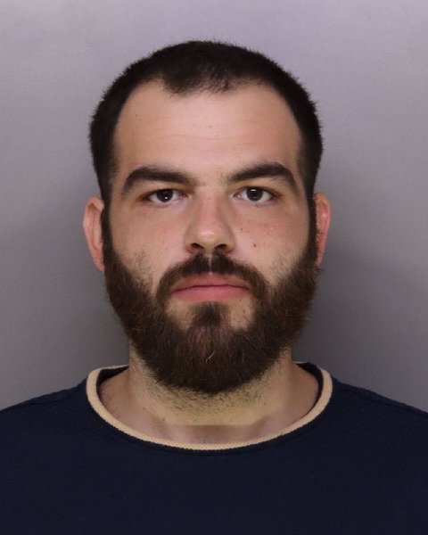 Mugshot of DYLAN PERKINS