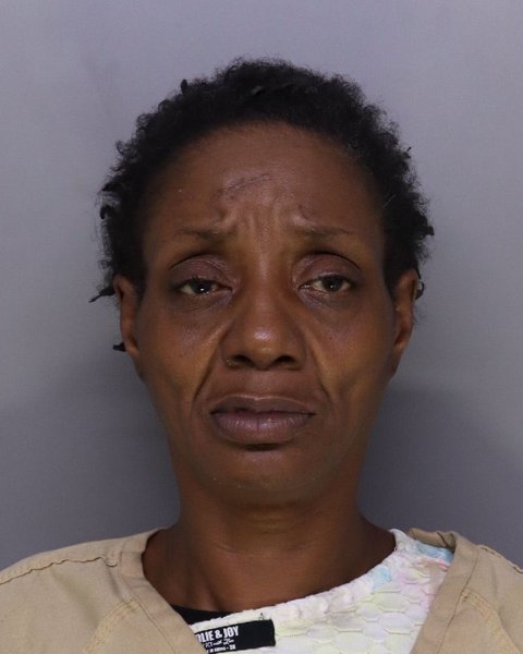 Mugshot of ERICA JONES