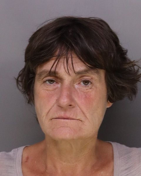Mugshot of DOROTHY WILSON
