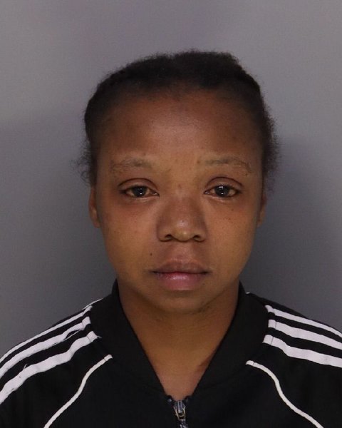 Mugshot of DANIELLE LEE