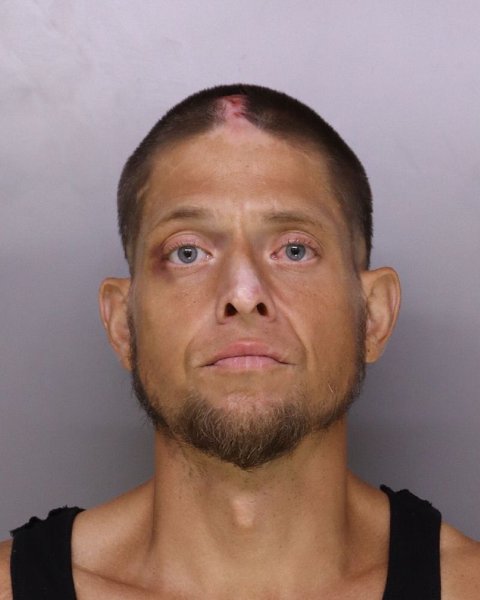Mugshot of MICHAEL LUESSEN